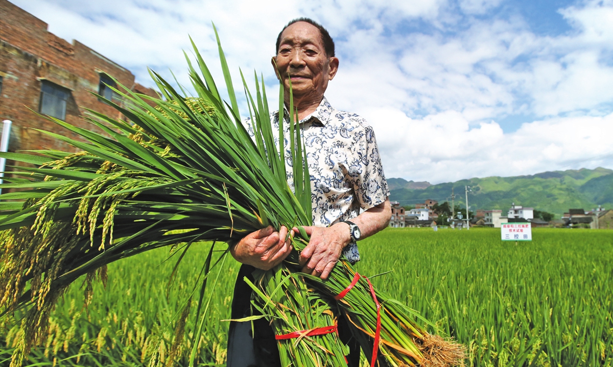 Yuan Longping at a rice field in Liande Village in South China's Guangxi Zhuang Autonomous Region in August 2017. Photo: IC