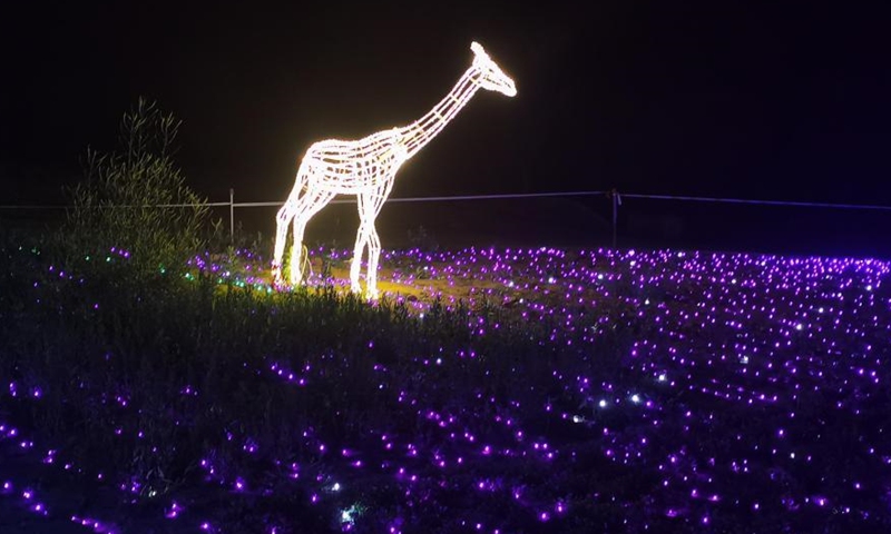 The undated photo shows the beautiful night views featuring dazzling light shows at a modern agricultural industrial park in Matouling, central China's Henan Province. Developed from a barren land to a wonderland, the park has become a large modern agricultural sightseeing demonstration park which integrates fruit tree planting, products processing, sightseeing, and natural-based education. It has become a must-see tourist attraction in the province.(Photo: China News Service/Wang Dengfeng)
