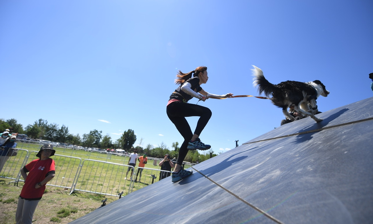 A woman runs on a ramp with her dog in China's first long-distance outdoor dog and human obstacle race held in Beijing on Saturday. Photo: IC