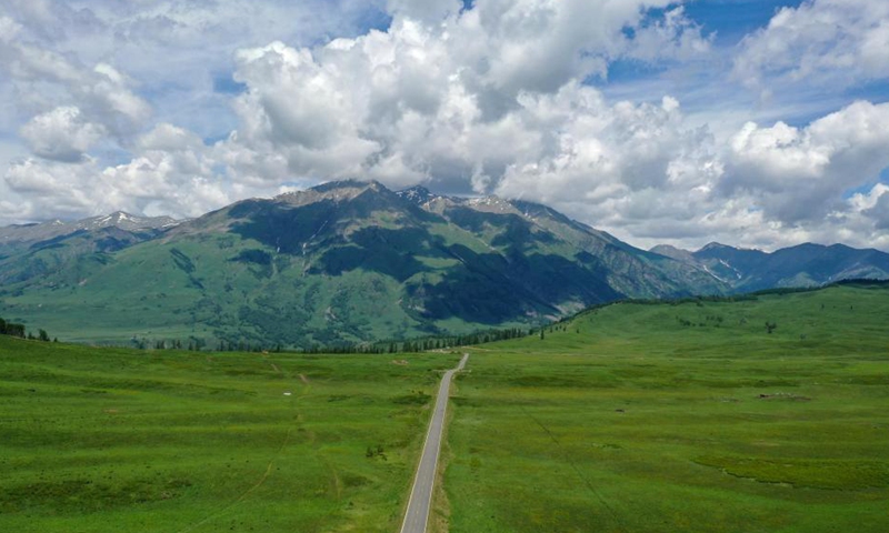 Aerial photo taken on June 9, 2021 shows scenery in Hemu Village of Kanas, northwest China's Xinjiang Uygur Autonomous Region.  Photo: Xinhua