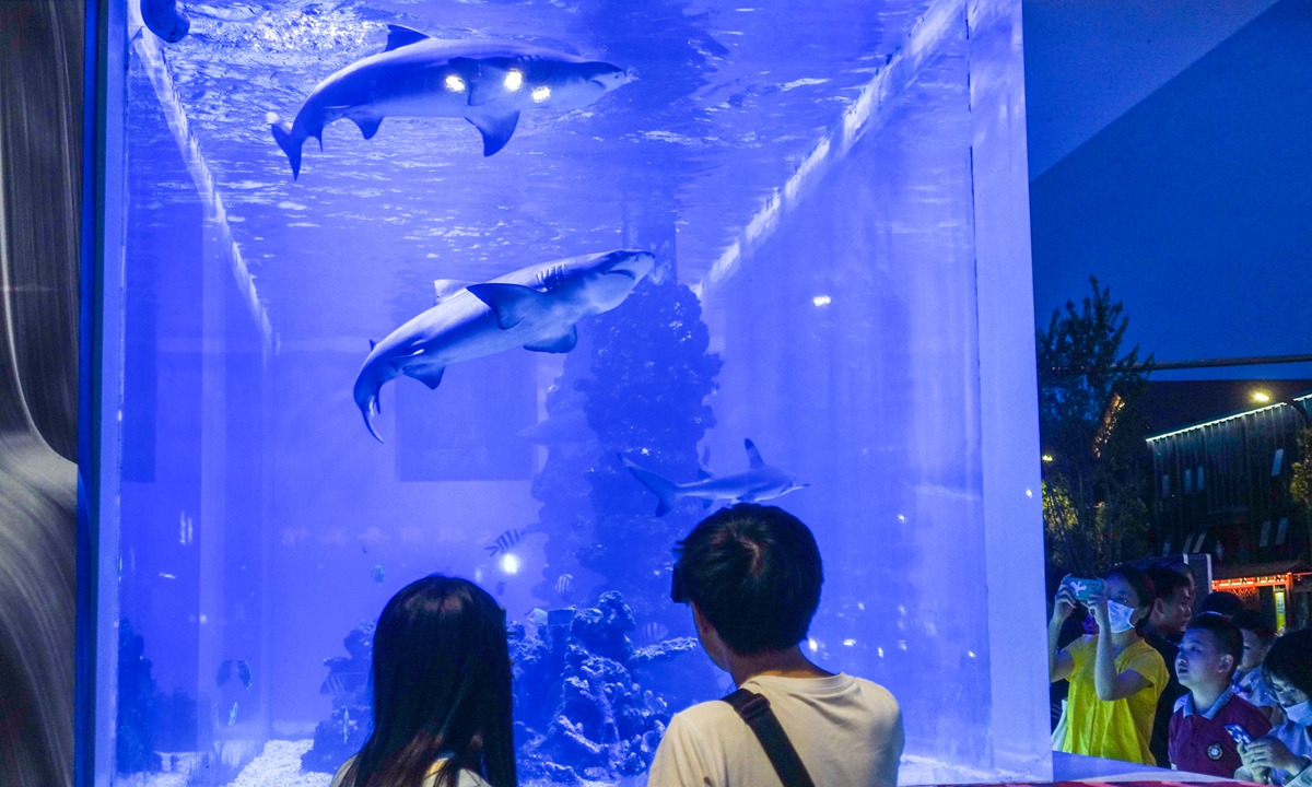 Residents stare at a shark tank outside a bar in Chengdu, Southwest China's Sichuan Province, on Tuesday. Photo: IC