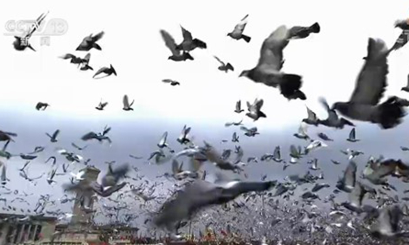 Dove releasing on the grand ceremony in celebration of the 100th anniversary of the founding of the Communist Party of China on Thursday. Photo: Screenshot of China Central Television