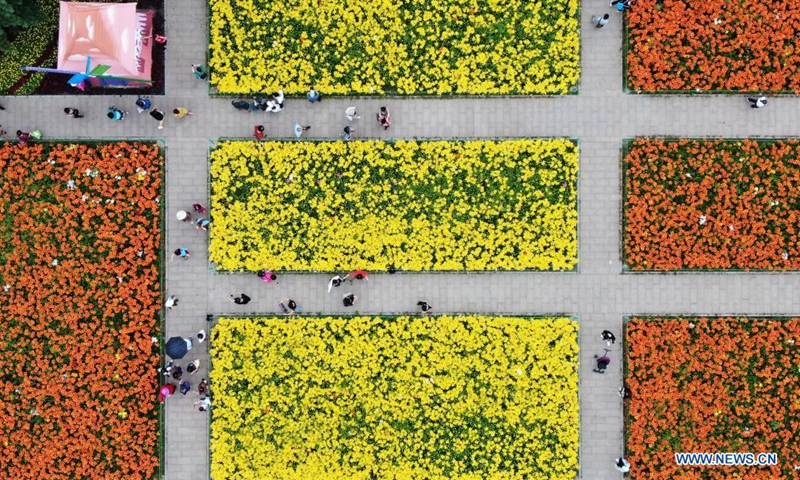 Aerial photo shows people enjoying themselves beside lilies at Shenshuiwan Park in Shenyang, northeast China's Liaoning Province, July 6, 2021. (Xinhua/Yang Qing)