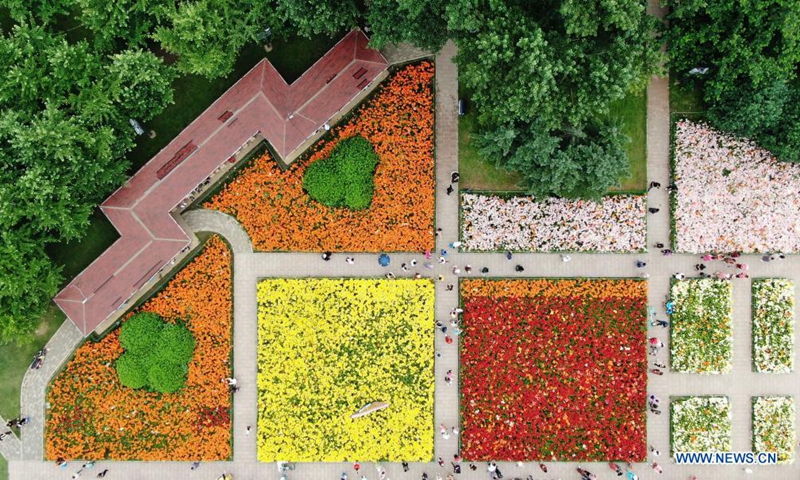 Aerial photo shows people enjoying themselves beside lilies at Shenshuiwan Park in Shenyang, northeast China's Liaoning Province, July 6, 2021. (Xinhua/Yang Qing)

