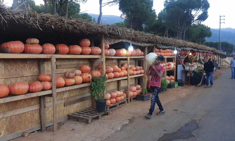 A delivery worker carries a pumpkin at a roadside stall in the town of Rashaya in western Bekaa, Lebanon, on July 4, 2021.(Photo: Xinhua)