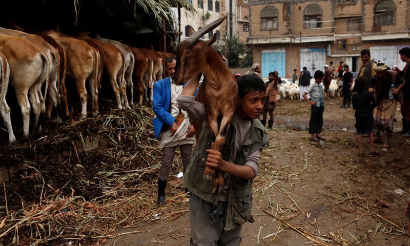 A boy carries a goat he just bought on his shoulder at a livestock market in Sanaa, Yemen, July 17, 2021.(Photo: Xinhua)