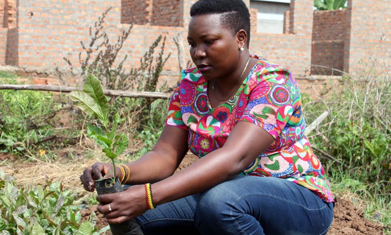 Ugandan cadet pilot flourishes in agriculture after abandoning flying ...