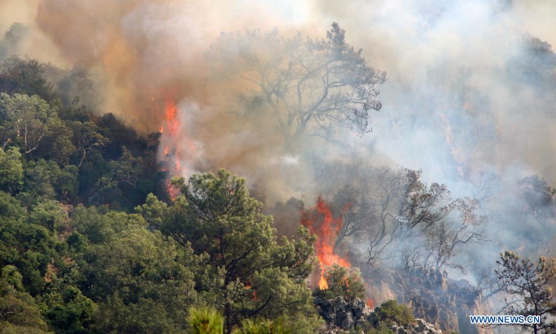 Wildfires erupt in Turkey, claiming eight lives - Global Times