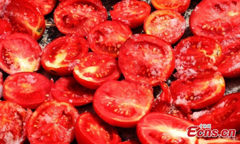 Tomatoes are dried in Yanqi Reclaimed Land, which is under the jurisdiction of Xinjiang Production and Construction Corps, China's Xinjiang Uygur Autonomous Region, on August 10, 2021. (Photo/ Bai Kebin) 

60, 000 mu (4, 000 hectares) tomatoes cultivated in the reclaimed land enters harvest season. Workers are busy drying the ripe tomatoes on the boards.
