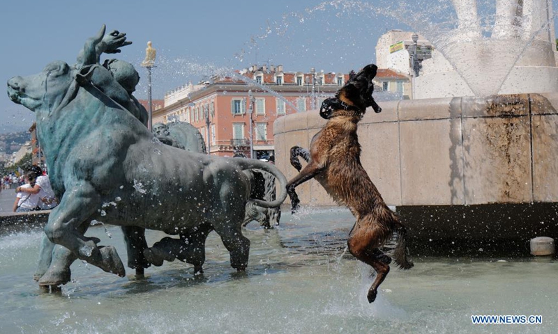 A dog cools off at a fountain during hot weather in Nice, France, Aug. 14, 2021. (Photo by Serge Haouzi/Xinhua)