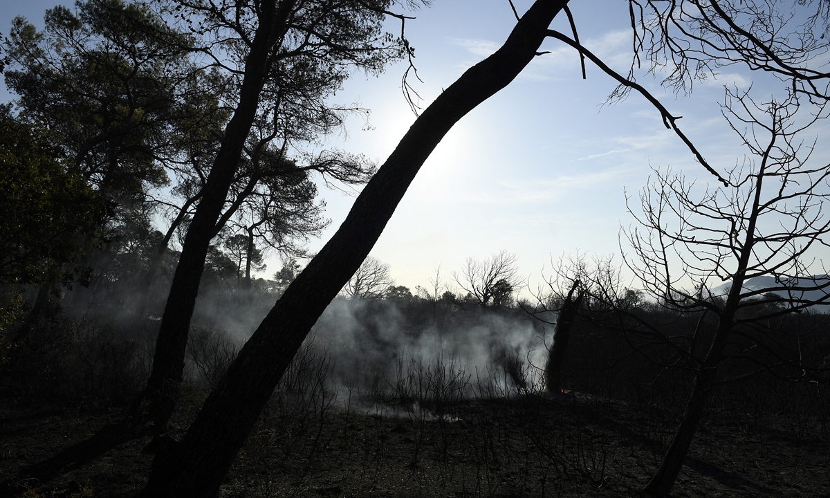 Smoke rises from a burnt area as a wildfire rages near Gonfaron, southeastern France on Tuesday. Thousands of people, including tourists in campsites, have been evacuated as a wildfire threatened the plush resort of Saint-Tropez, the fire service said on Tuesday. Photo: AFP