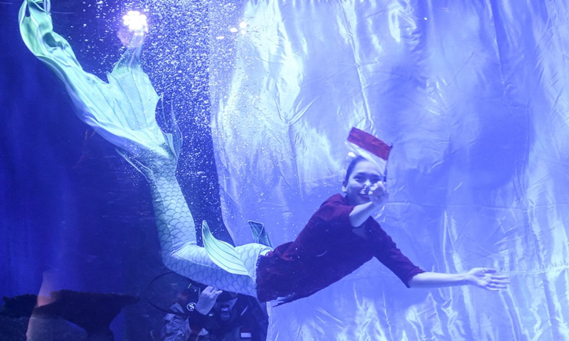 A diver in mermaid costume performs to celebrate the 76th anniversary of Indonesia's Independence Day at Jakarta Aquarium and Safari in Jakarta, Indonesia, Aug. 17, 2021.(Photo: Xinhua)