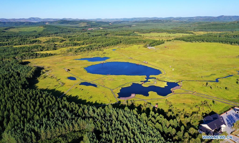 Aerial photo taken on Aug. 22, 2021 shows the scenery of Saihanba forest farm in north China's Hebei Province. (Xinhua/Mu Yu)