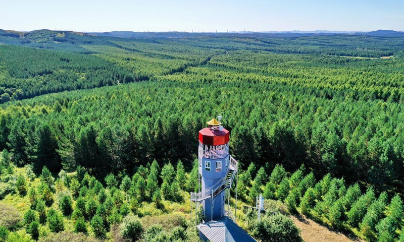 Aerial photo taken on Aug. 23, 2021 shows the scenery of Saihanba forest farm in north China's Hebei Province. (Xinhua/Mu Yu)