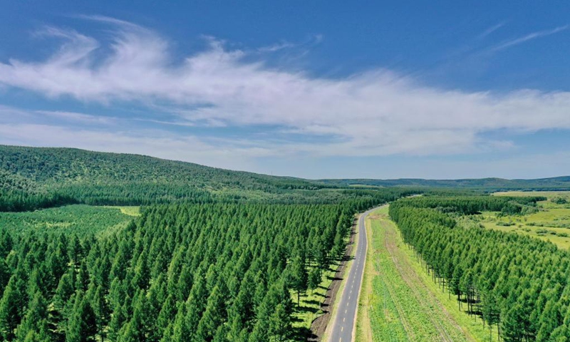 Aerial photo taken on Aug. 23, 2021 shows the scenery of Saihanba forest farm in north China's Hebei Province. (Xinhua/Mu Yu)