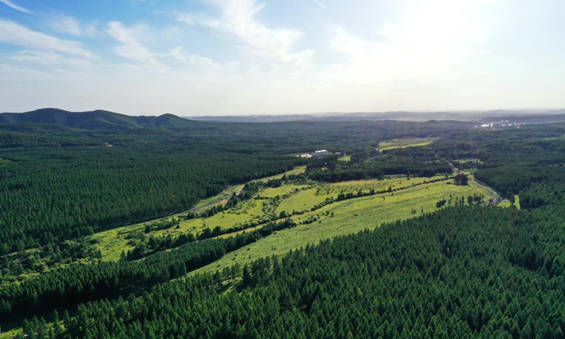 Aerial photo taken on Aug. 22, 2021 shows the scenery of Saihanba forest farm in north China's Hebei Province. (Xinhua/Mu Yu)