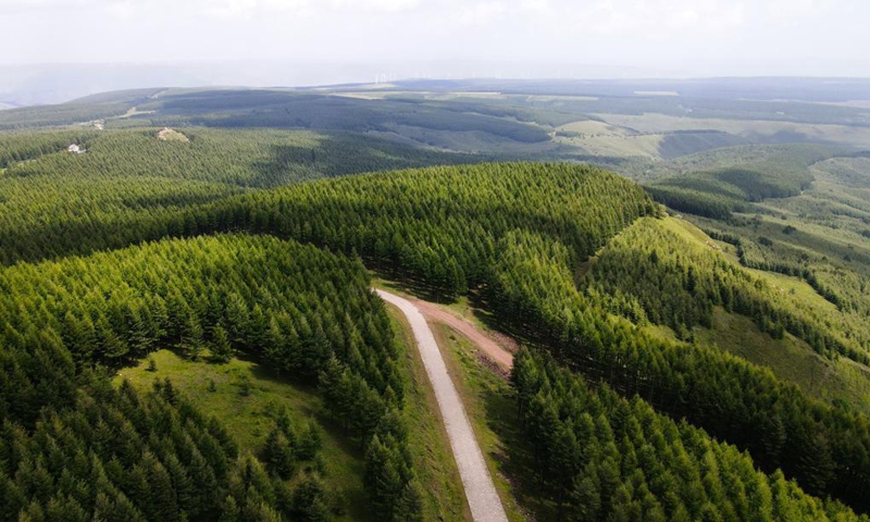 Aerial photo taken on Aug. 22, 2021 shows the scenery of Saihanba forest farm in north China's Hebei Province. (Xinhua/Jin Haoyuan)