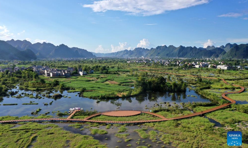 Aerial photo taken on Aug. 31, 2021 shows a view of Chengjiang River wetland park in Du'an Yao Autonomous County, south China's Guangxi Zhuang Autonomous Region.Photo:Xinhua