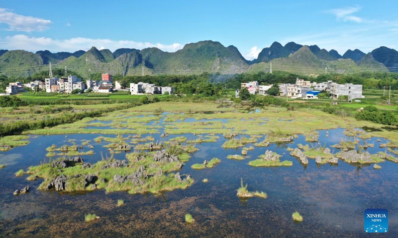 Aerial photo taken on Aug. 31, 2021 shows a view of Chengjiang River wetland park in Du'an Yao Autonomous County, south China's Guangxi Zhuang Autonomous Region.Photo:Xinhua