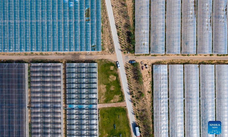 Aerial photo taken on Sept. 8, 2021 shows a cantaloupe farm in Lingwu, northwest China's Ningxia Hui Autonomous Region. (Xinhua/Yang Zhisen) 