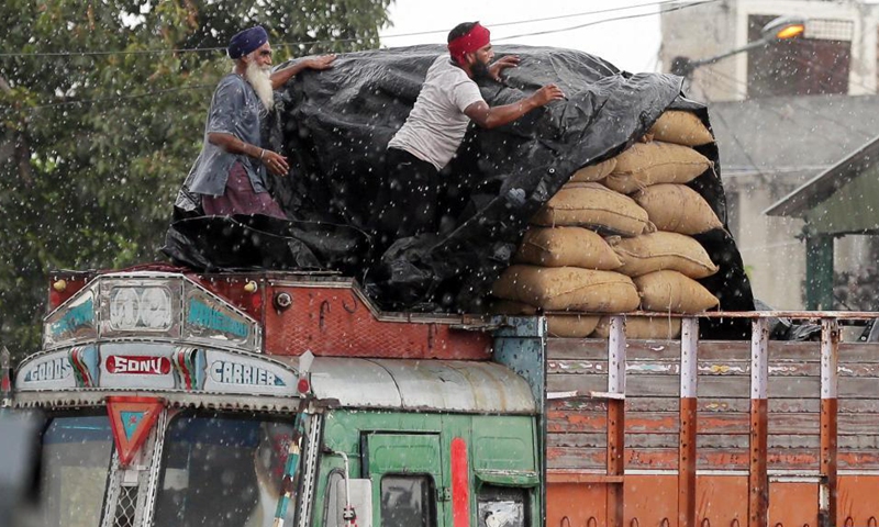 Workers protect paddy bags from a heavy rain with covering in Amritsar district of India's northern state Punjab, Sept. 8, 2021.Photo:Xinhua