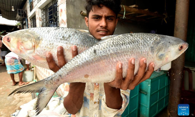 A vendor shows Hilsa fish at a fish landing station in Chandpur, Bangladesh, Sept. 7, 2021.Photo:Xinhua