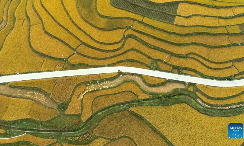 Aerial photo taken on Sept. 12, 2021 shows paddy fields in Jinpi Village of Wantanhe Township in Longli County, southwest China's Guizhou Province.(Photo: Xinhua)