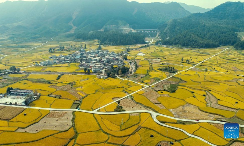 Aerial photo taken on Sept. 12, 2021 shows paddy fields in Jinpi Village of Wantanhe Township in Longli County, southwest China's Guizhou Province.(Photo: Xinhua)