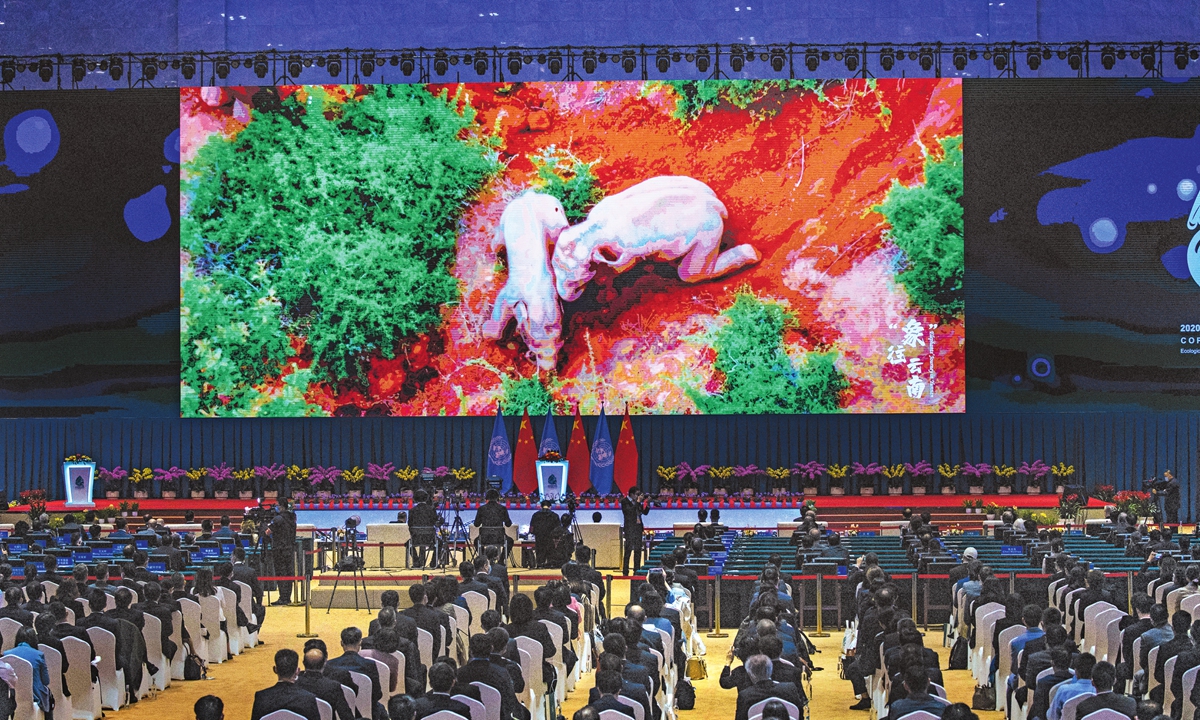 A video on the activities of a herd of wild Asian elephants that went astray in Southwest China's Yunnan Province in September is shown on a big screen at the 15th meeting of the Conference of the Parties to the UN Convention on Biological Diversity (COP15), in Kunming, capital of Yunnan Province, on Monday. (See story on Page 3) Photo: Li Hao/GT