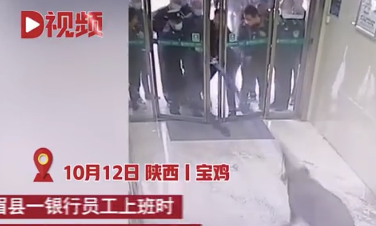 A video circulating on the internet shows many staff members dragging a boar out of the entrance of a bank and later loading it into a net and into a truck. Reports say on Tuesday,<strong></strong> a bank staff member in Baoji, Shanxi found the boar inside the bank in the morning and then contacted the local forestry bureau to deal with it. Photo: Sina Weibo