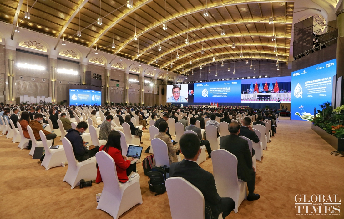 The phase one of COP 15 concludes in Kunming - Global Times