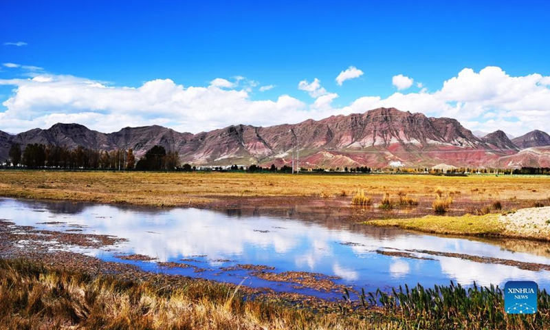 Photo taken with a mobile phone shows the autumn scenery in Lhunzhub County of Lhasa, southwest China's Tibet Autonomous Region, Oct. 16, 2021. Photo: Xinhua