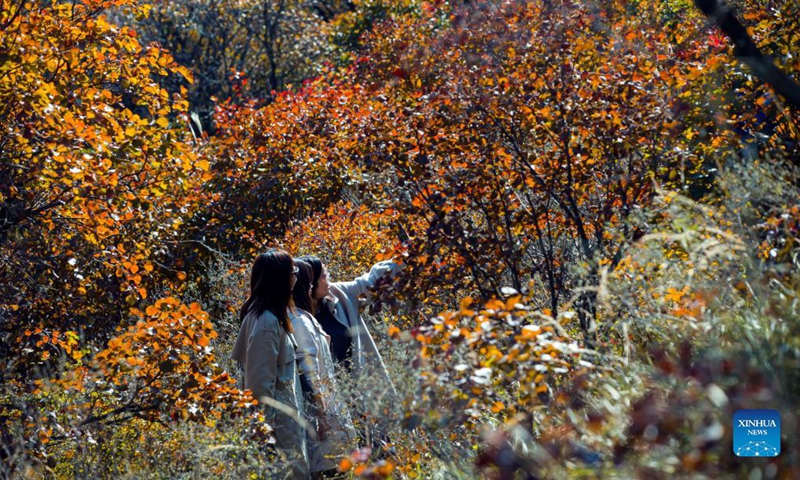 Tourists visit Baiyun mountain scenic spot in Wuan City, north China's Hebei Province,on Oct. 18, 2021.Photo: Xinhua