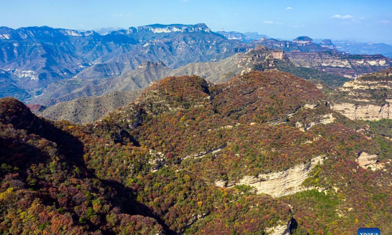 Aerial photo taken on Oct. 18, 2021 shows the autumn scenery at Baiyun mountain scenic spot in Wuan City, north China's Hebei Province.Photo: Xinhua