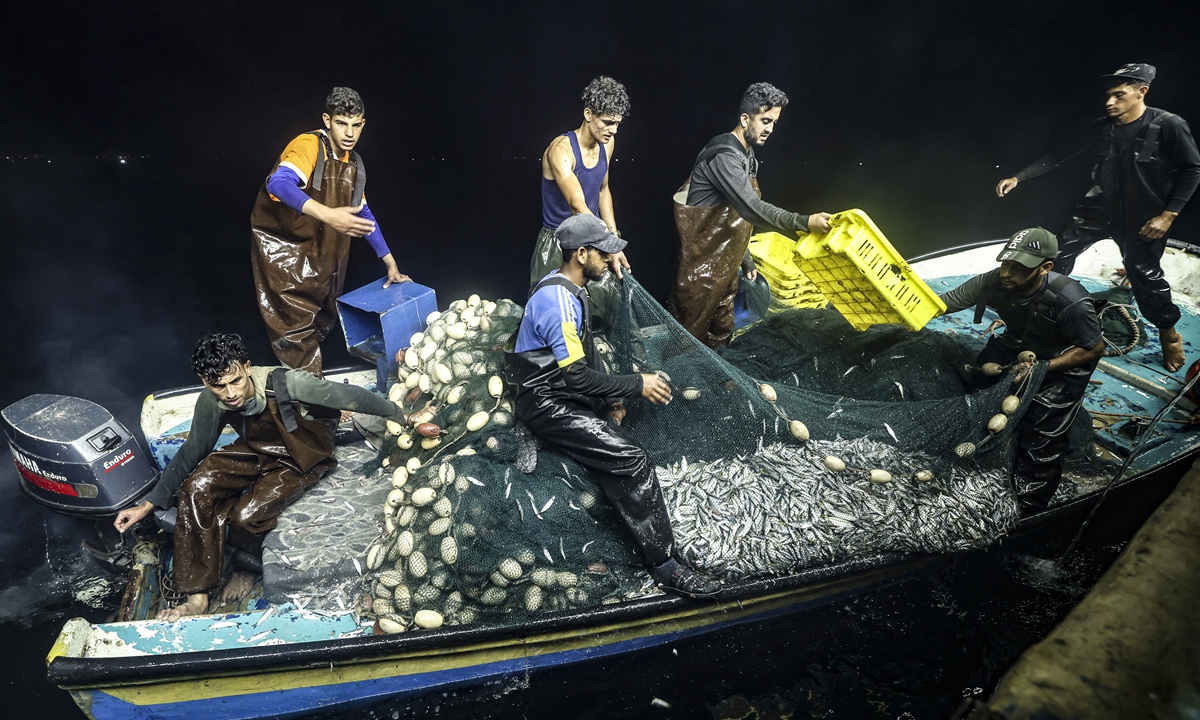 Palestinian fishermen unload their catch from a boat, upon their return to the coastline of Gaza City, on September 22. Photo: AFP