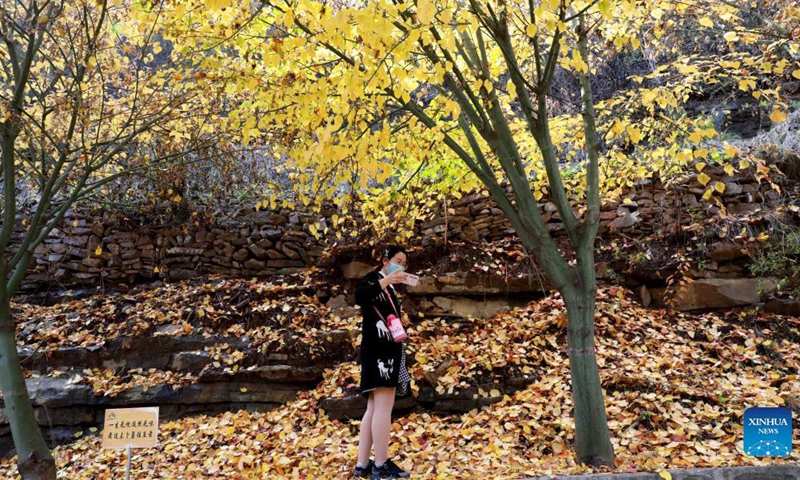 A tourist visits Xiantaishan scenic area in Shijiazhuang, north China's Hebei Province, Oct. 31, 2021.Photo:Xinhua