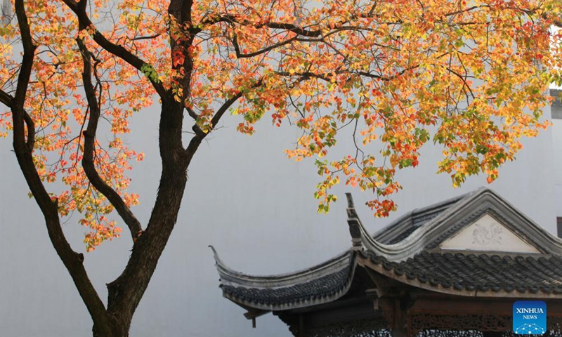 Photo taken on Oct. 31, 2021 shows the autumn scenery in Nanjing, east China's Jiangsu Province.Photo:Xinhua