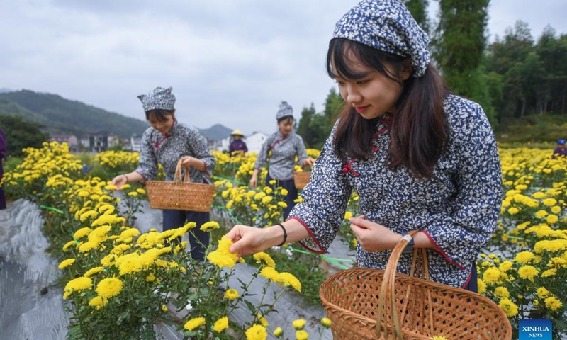 Mountains burst forth with flowers in Qingtian County, Zhejiang ...