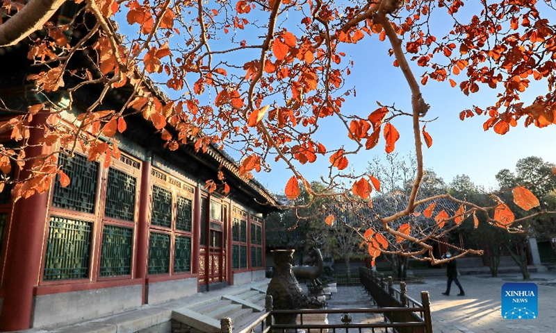 Check out the beautiful early winter scenery in Beijing. Photo: Xinhua