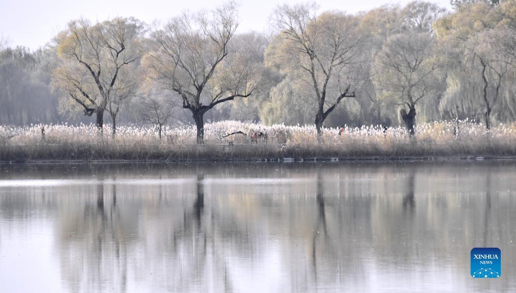 Photo taken on Nov. 14, 2021 shows the winter scenery of the Summer Palace in Beijing, capital of China. Photo: Xinhua