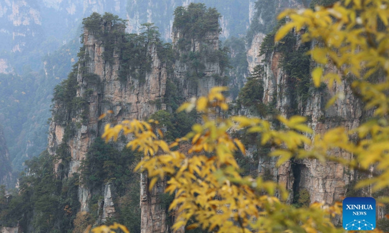 Aerial photo taken on Nov. 12, 2021 shows the scenery of the Wulingyuan Scenic Area in Zhangjiajie City, central China's Hunan Province.Photo:Xinhua