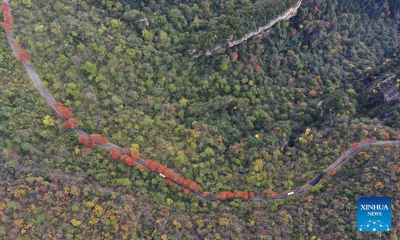 Aerial photo taken on Nov. 12, 2021 shows the scenery of the Wulingyuan Scenic Area in Zhangjiajie City, central China's Hunan Province.Photo:Xinhua