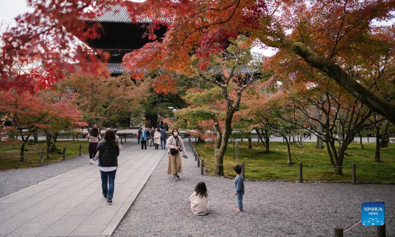 People view the scenery of red leaves at Nanzenji Temple in Kyoto, Japan, Nov. 15, 2021. Photo: Xinhua