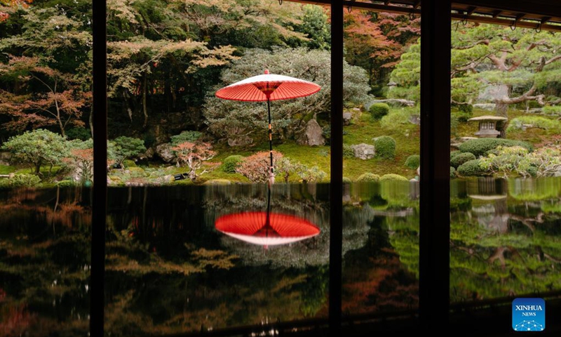 Photo shows autumn scenery at the Former Chikurin-in Temple in Kyoto, Japan, Nov. 16, 2021. Photo: Xinhua