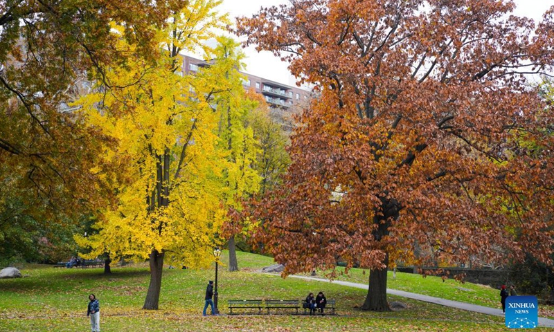 People enjoy autumn scenery in Central Park - Global Times