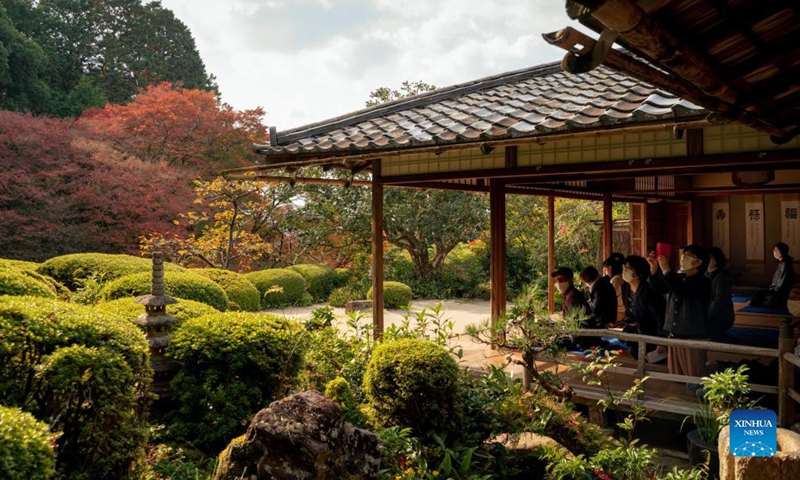 People view the scenery of red leaves at Shisen-do Temple in Kyoto, Japan, Nov. 16, 2021. Photo: Xinhua