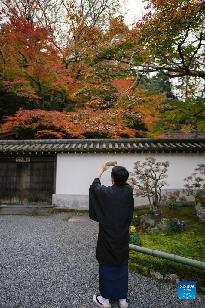 A visitor takes photos of red leaves at Nanzenji Temple in Kyoto, Japan, Nov. 15, 2021. Photo: Xinhua