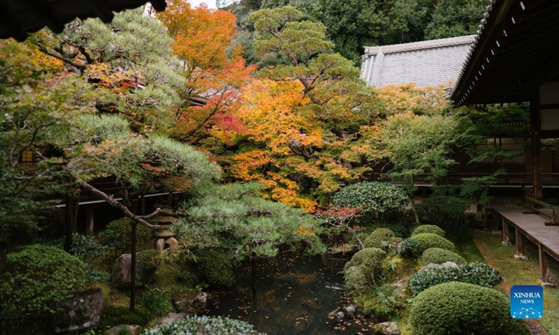 Photo shows autumn scenery at Eikando Zenrin-ji Temple in Kyoto, Japan, Nov. 15, 2021. Photo: Xinhua