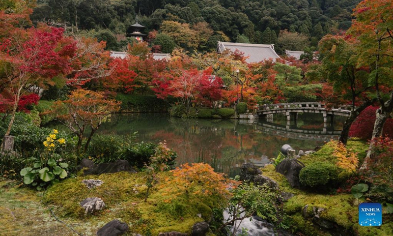 Photo shows autumn scenery at Eikando Zenrin-ji Temple in Kyoto, Japan, Nov. 15, 2021. Photo: Xinhua