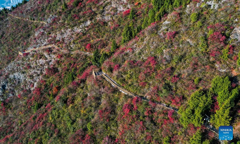 Aerial photo taken on Nov. 25, 2021 shows the early winter scenery of the Wenfeng Scenic Area along the Wuxia Gorge, one of the Three Gorges on the Yangtze River, in Wushan County, southwest China's Chongqing Municipality.Photo:Xinhua